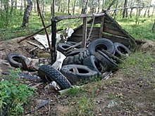 В Екатеринбурге не должно быть бесхозной земли