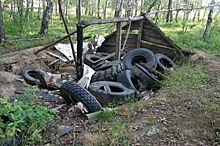 В Екатеринбурге не должно быть бесхозной земли