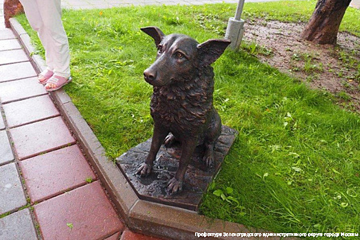 В Савёлках появилась скульптура собаки Мухи