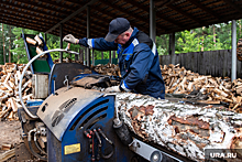 В ХМАО нашли способ прибыльной утилизации древесных отходов