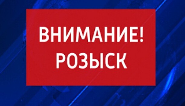 Полиция ищет мужчин, подозреваемых в краже у пенсионера