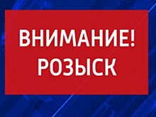 Полиция ищет мужчин, подозреваемых в краже у пенсионера