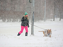 Эксперт назвал причину сильного снегопада в Москве