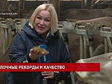 Молочные рекорды на ферме в Матвеево-Курганском районе