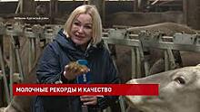 Молочные рекорды на ферме в Матвеево-Курганском районе
