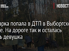Иномарка попала в ДТП в Выборгском районе. На дороге так и осталась лежать девушка