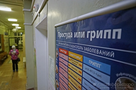 Карантин по гриппу объявили в Челябинской области