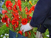 В Кировской области стартовала операция «Мак – 2021»