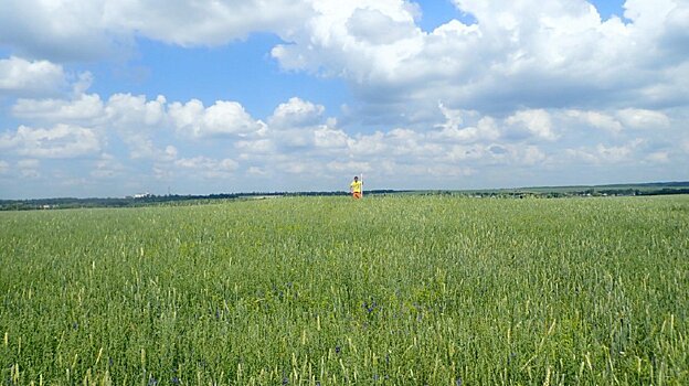8 курганов в Колышлейском районе признаны памятником истории