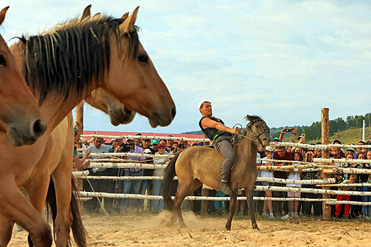 Минкульт Башкирии рассказал о программе фестиваля лошадей «Башҡорт аты»