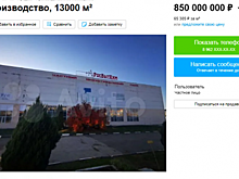 Бывший химзавод энгельсского экс-депутата продают за 850 миллионов рублей