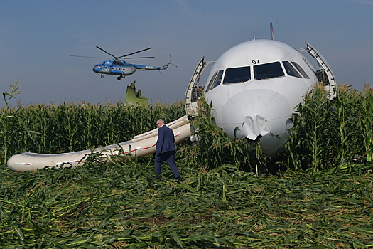 Следователи отрицают мародёрство на месте аварии лайнера A-321