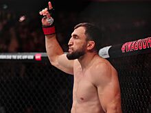 Муслим Салихов, победа нокаутом, победная серия, последний бой, карьера в UFC, рекорд, Король кунг-фу, контракт с UFC