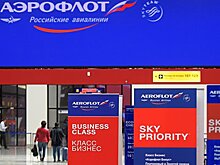 Блогер извинился перед главой «Аэрофлота»