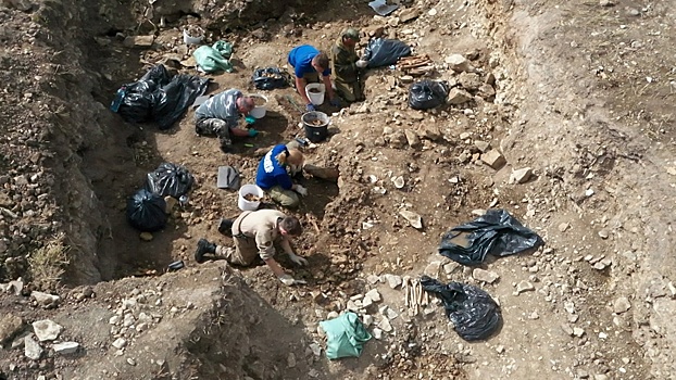 «Людей просто сваливали друг на друга»: в Ленобласти нашли братскую могилу на месте фашистского концлагеря