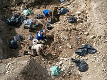 «Людей просто сваливали друг на друга»: в Ленобласти нашли братскую могилу на месте фашистского концлагеря