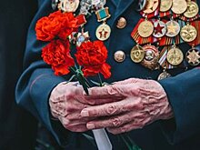 Россиянам предложили 9 мая спеть на самоизоляции "День Победы"