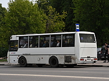 Автобусы будут ходить от станции «Бородино» до музея «Бородинское поле» 2 и 3 сентября