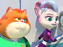 Популярность и предательства: обзор мультфильма «Барбоскины Team»