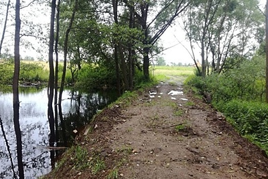 Минэкологии найдет хозяина незаконной плотины на реке в Раменском районе