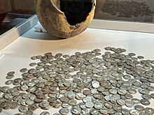 Следы прошлого: истории кладов, найденных на белорусских землях