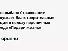 Совкомбанк Страхование запускает благотворительные акции в пользу подопечных фонда «Подари жизнь»