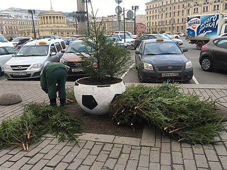 «Выглядит недостойно для нашего города». В Петербурге еловые ветки воткнули в клумбы, понравилось не всем