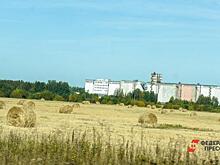 Экспертов удивило нетипичное поведение цен на зерно