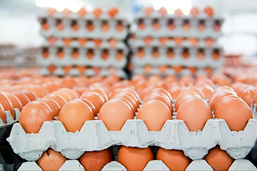 Глава ФАС заявил о тенденции к снижению цен на яйца в России