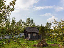 Росреестр: число бесхозных объектов в ЕГРН сократилось почти вдвое