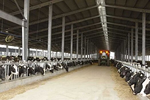Подмосковье занимает первое место в стране по экспорту молочной продукции