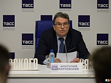 Новые руководители цирка подали на Марчевского ещё два заявления в полицию