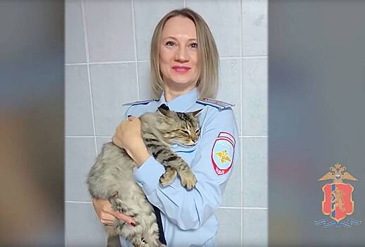 Красноярские полицейские спасли пришедшего к участку истощенного кота с больной лапой