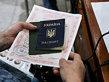 Названо число дошедших пешком до России украинцев