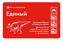 Амурозавр украсил билет