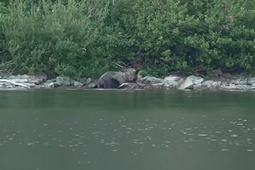 Восемь столичных улиц благоустроят в формате «от дома до дома» до конца года