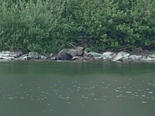 Восемь столичных улиц благоустроят в формате «от дома до дома» до конца года