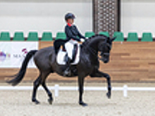 «Когда я говорю, что лошади спят лежа, все очень удивляются». Интервью с тренером-берейтором