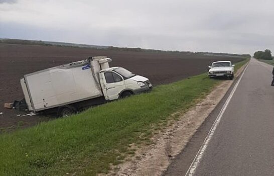 Под Колпной Газель улетела в кювет. Пострадал ребёнок