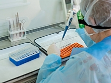 За сутки в Волгоградской области выявили 243 случая коронавируса