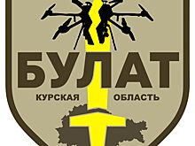 В Курской области создается спецбатальон для борьбы с БПЛА