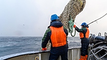 С рыбопромышленников Дальнего Востока взыскали миллиарды рублей