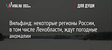 Вильфанд: некоторые регионы России, в том числе Ленобласти, ждут погодные аномалии