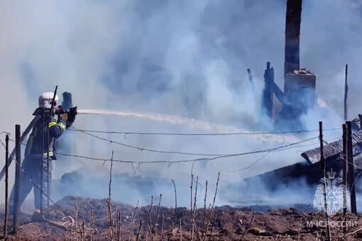МЧС: пожарные не дали огню из горящего СНТ в Забайкалье перекинуться на лагерь