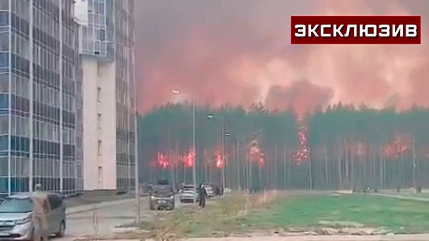 В МЧС оценили опасность мощного лесного пожара для города Циолковский