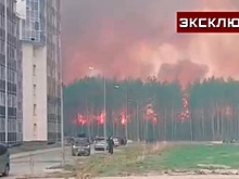 В МЧС оценили опасность мощного лесного пожара для города Циолковский