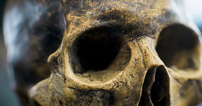 Ученые уточнили возраст черепов древних людей из Китая