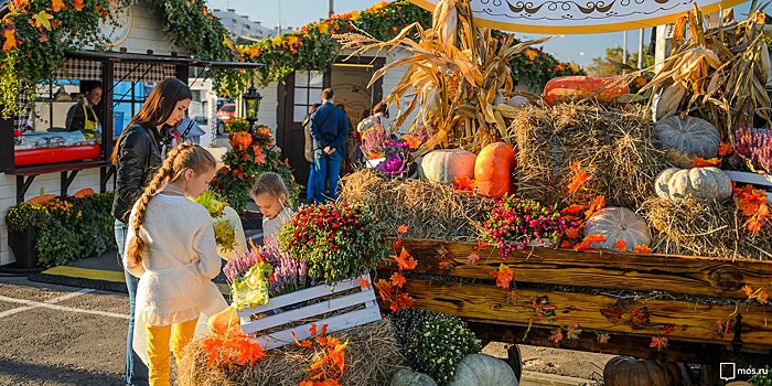 Чем заняться на фестивале «Золотая осень»
