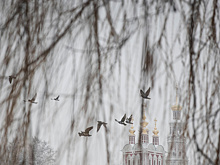 "Покрыта аномалиями": климатолог о предстоящей осени