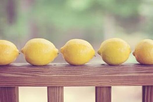 В Челябинск привезли более 14 тонн турецких лимонов, зараженных щитовкой